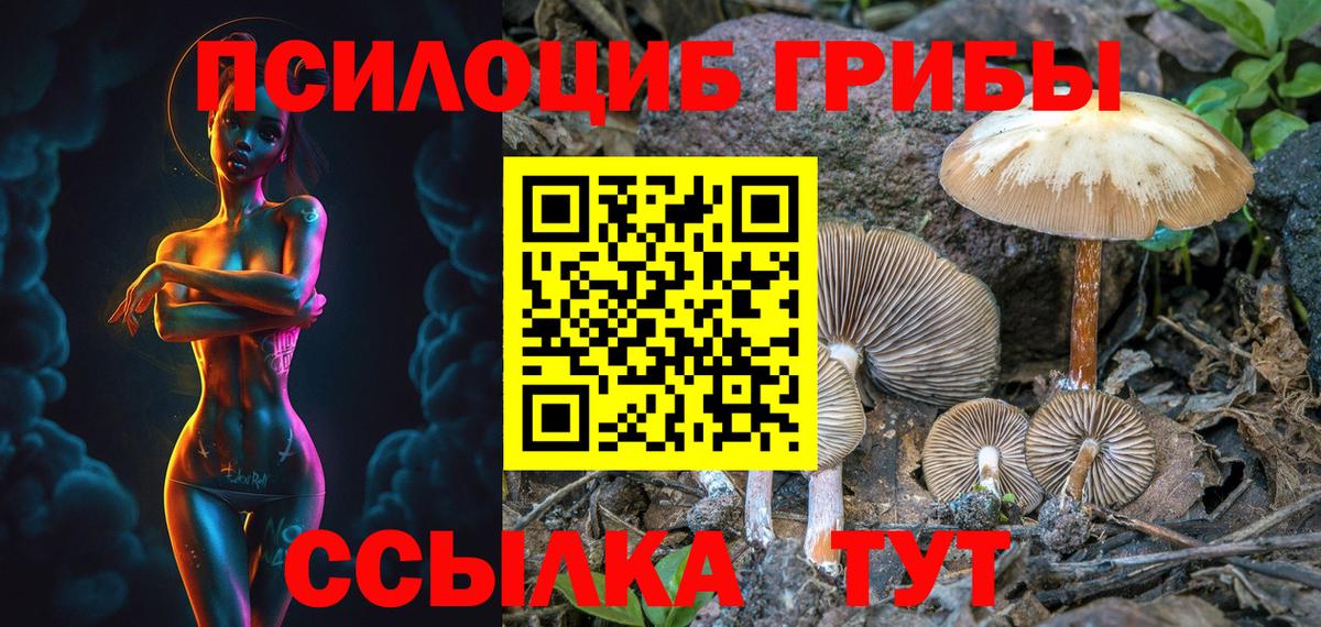 Галлюциногенные грибы Cubensis  Вход с VPN  Грязи 