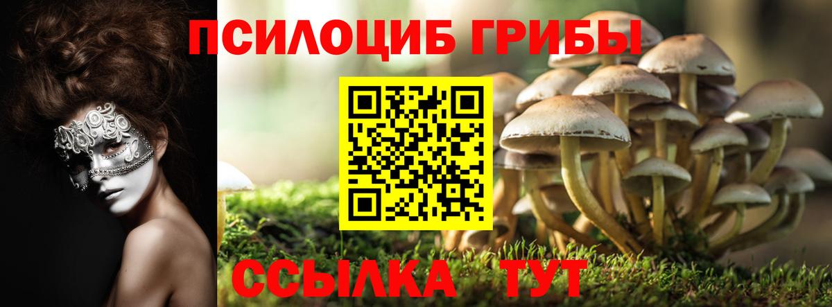 Галлюциногенные грибы Magic Shrooms Грязи